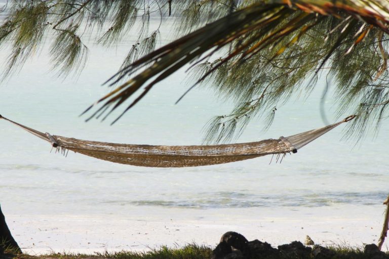 hammock, zanzibar, vacations-2676646.jpg