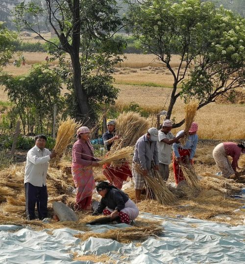 nepal, people, gathering-98090.jpg